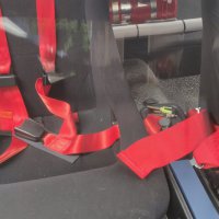 3" LTEC 4 punts gordels
